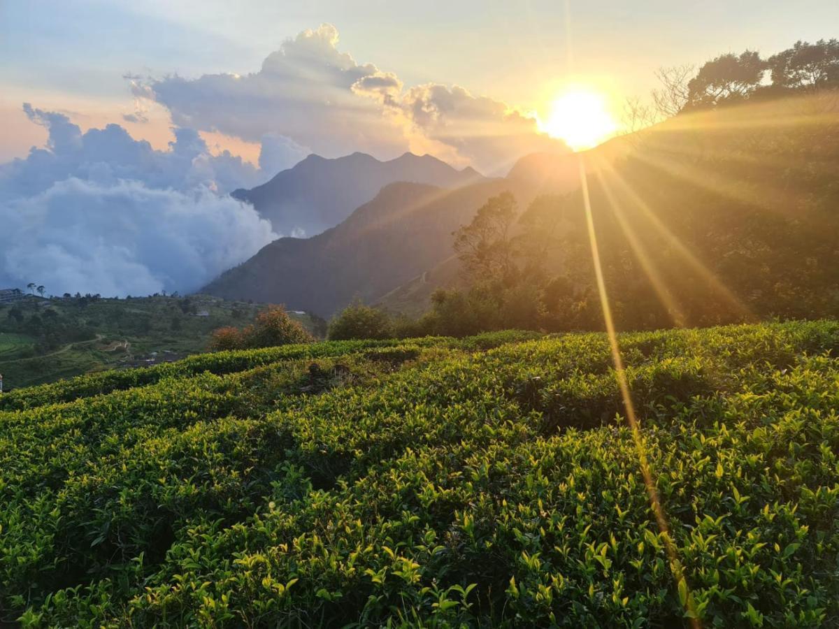 Hill Safari - Tea Estate Villa Ohiya Kültér fotó