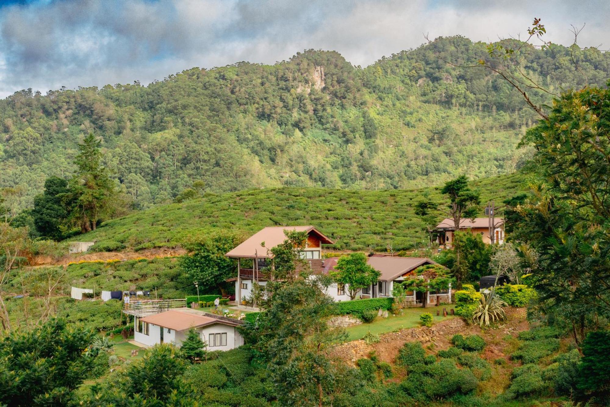 Hill Safari - Tea Estate Villa Ohiya Kültér fotó