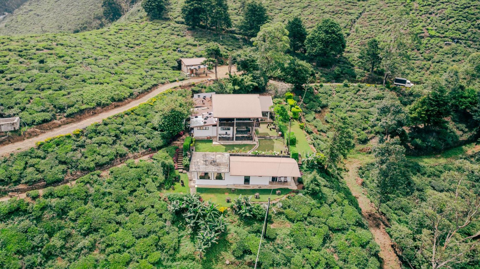 Hill Safari - Tea Estate Villa Ohiya Kültér fotó