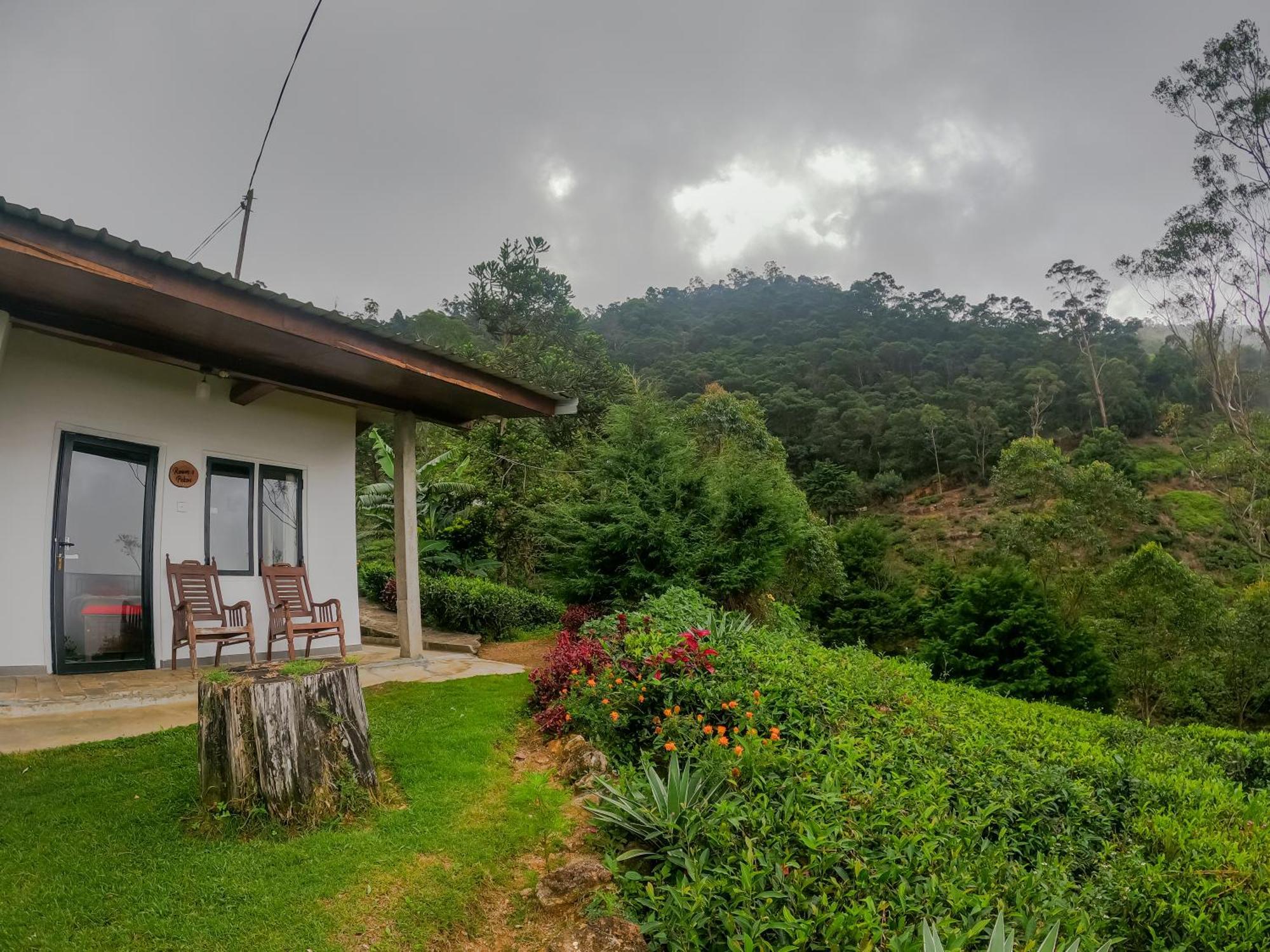 Hill Safari - Tea Estate Villa Ohiya Kültér fotó