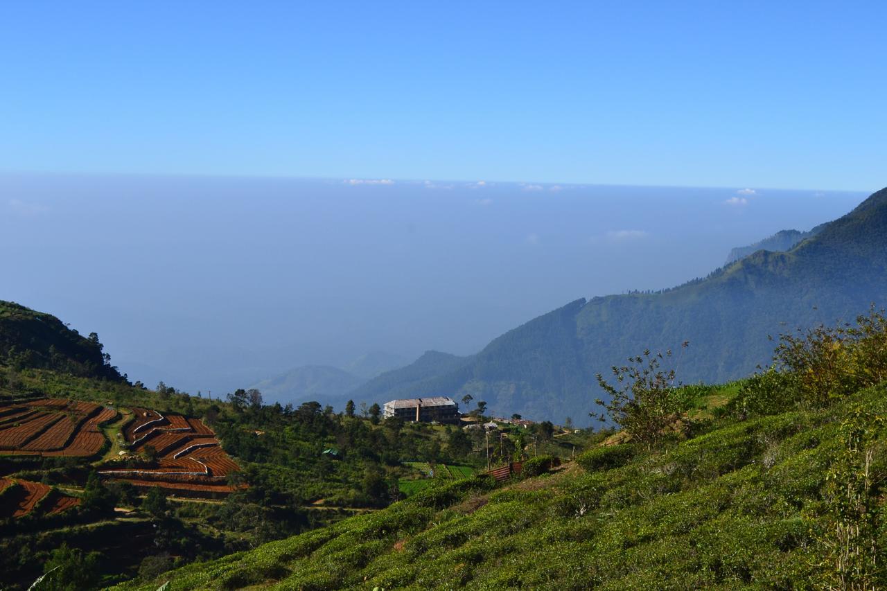 Hill Safari - Tea Estate Villa Ohiya Kültér fotó