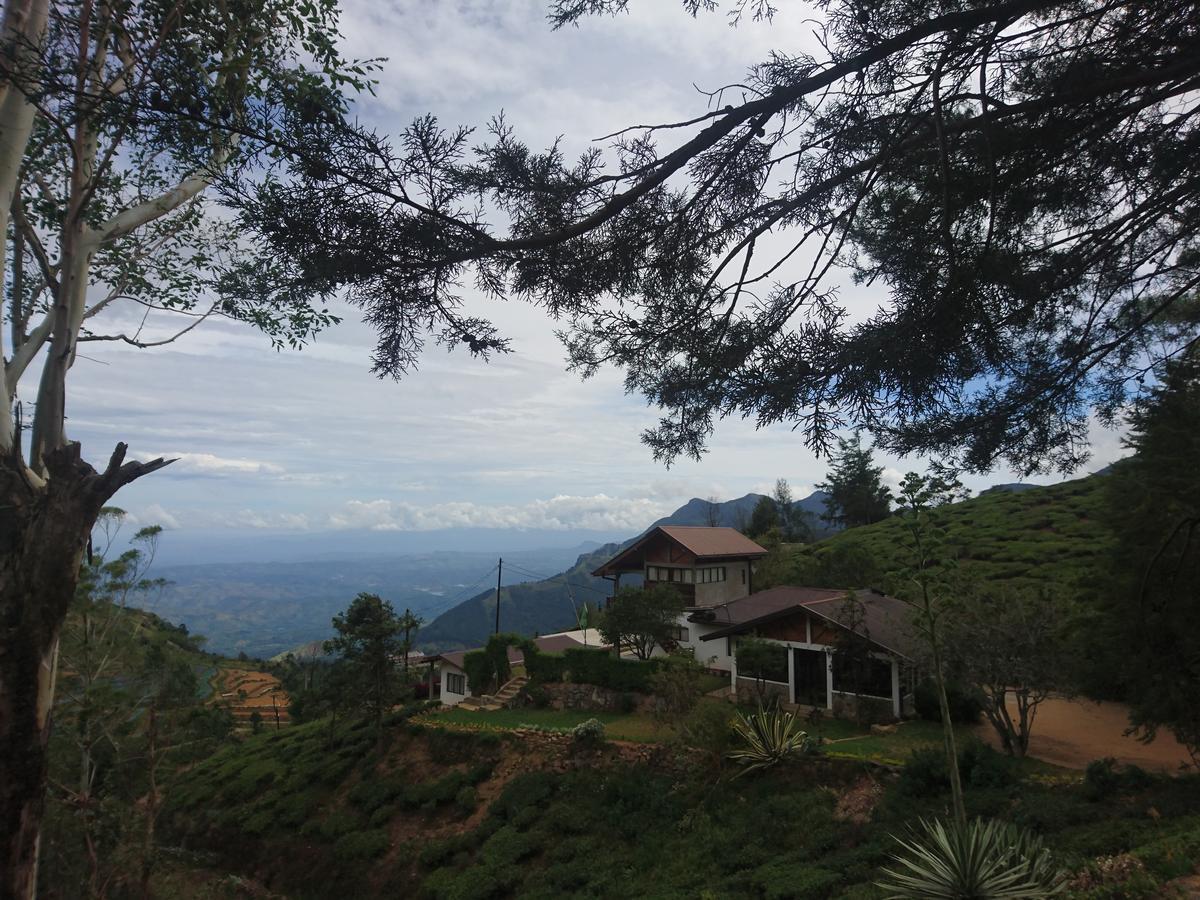 Hill Safari - Tea Estate Villa Ohiya Kültér fotó