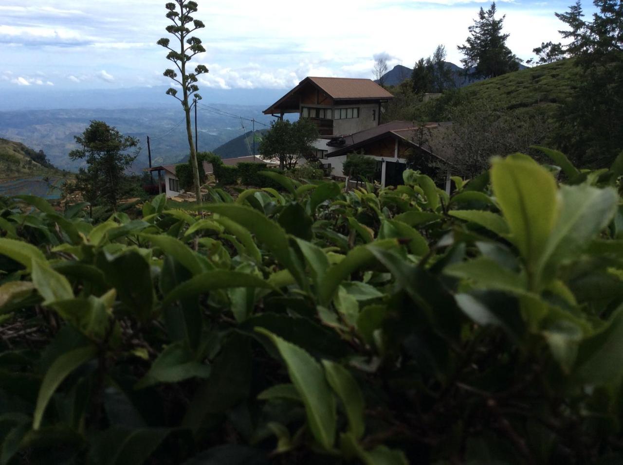 Hill Safari - Tea Estate Villa Ohiya Kültér fotó